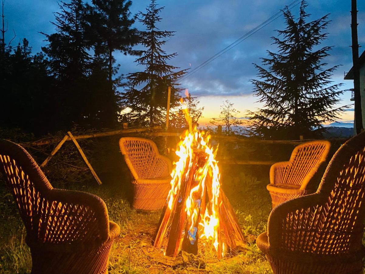 Aachman Nature Valley Resort Shimla Bagian luar foto